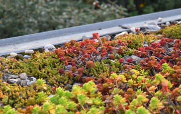 the cost of Hopperton green roof installation