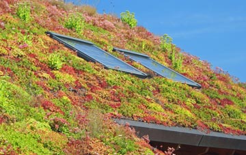 Hopperton living roof systems