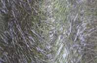 Hopperton fibreglass roof work